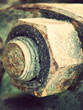 close up of a rusty old screw