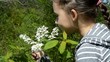 little girl smelling bird cherry flowers