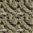 Medical Marijuana Background 