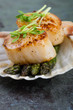 Sauteed scallops on the shell with asparagus