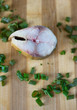 one piece bloater and green onion