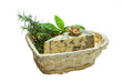 Dor blue cheese with herbs, nuts and honey