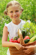 Gardening, vegetables - lovely girl with basket of vegetables