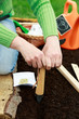 Gardening - woman sowing seeds into the soil