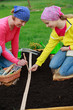 Gardening - woman with girl  sowing seeds into the soil