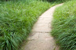 path and lawn in a park, China