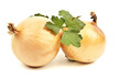 Onion isolated on white background