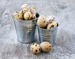 Quail eggs