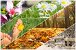 Foto: four seasons four seasons