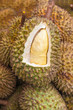 Durian
