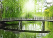 brücke in einem park