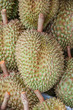 Durian