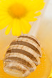 honey and flower