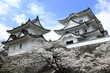 春の伊賀上野城