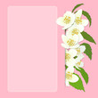 Vector greeting card with cherry blossom.