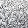 Water droplets
