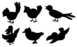 Bird silhouettes