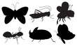 Vector: Black colored insects Black colored insects