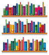 Wooden shelves with books