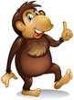 An old monkey standing