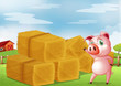 A pig pointing the farm crops