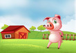 A pig at the farm pointing the barn house