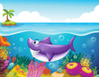 A smiling shark under the sea with corals