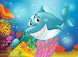 A big fish near the coral reefs