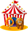 A red tent at the back of a bear and a flaming ring
