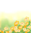 A blank stationery with a garden