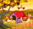 Three hens inside the fence