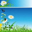 Flower Banner