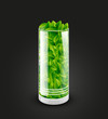 Empty transparent glass cylinder with leaves