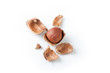 peeled hazelnut, isolated on white background
