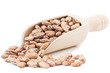 Beans on white background