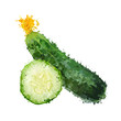 Вектор: cucumber vegetable vector illustration of blots cucumber vegetable vector illustration of blots