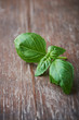 Basil