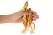 Foto: Hand Holding Some Ginseng Roots Hand Holding Some Ginseng Roots