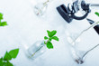Experimenting with flora in laboratory.