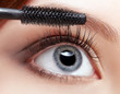 Photo: beautiful woman applying mascara beautiful woman applying mascara