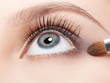 Photo: eye shade makeup eye shade makeup