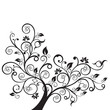 Detaily fotografie Flowers and swirls design element silhouette in black