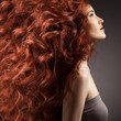 Photo : Beautiful woman with curly hairstyle against gray background Beautiful woman with curly hairstyle against gray background