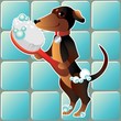 Washed Dog