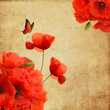 Illustration: Vintage composition with poppies, butterfly and space for text Vintage composition with poppies, butterfly and space for text