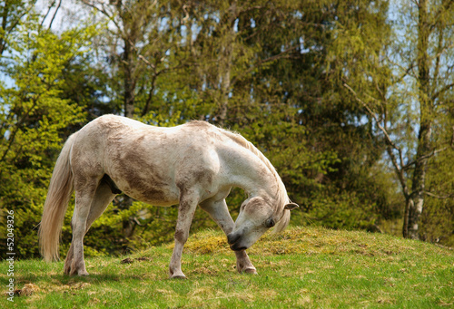 Photo: CHEVAL BLANC CHEVAL BLANC