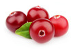 Sweet cranberries with leafs