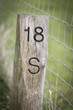Wooden Sign Post