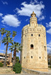 Tower of gold, Torre del Oro, Sevilla