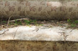 Close up vintage sofa